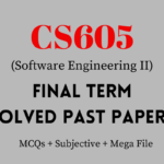 CS605 Final Term Past Papers